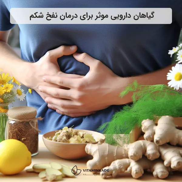 گیاهان دارویی موثر برای درمان نفخ شکم